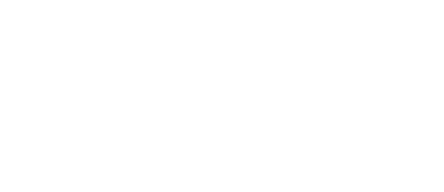Boston_Property_Capital_Logo